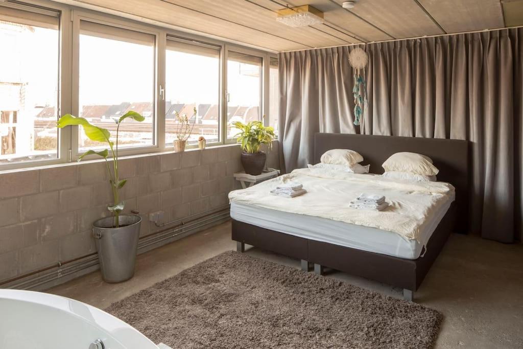 Mari's: Multifunctional Shelter With Big Garden Vakantiehuis Gent