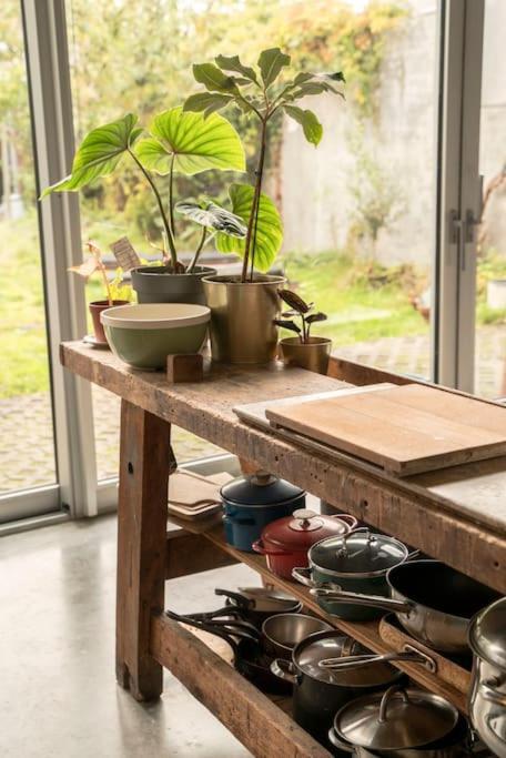 Mari's: Multifunctional Shelter With Big Garden Gand